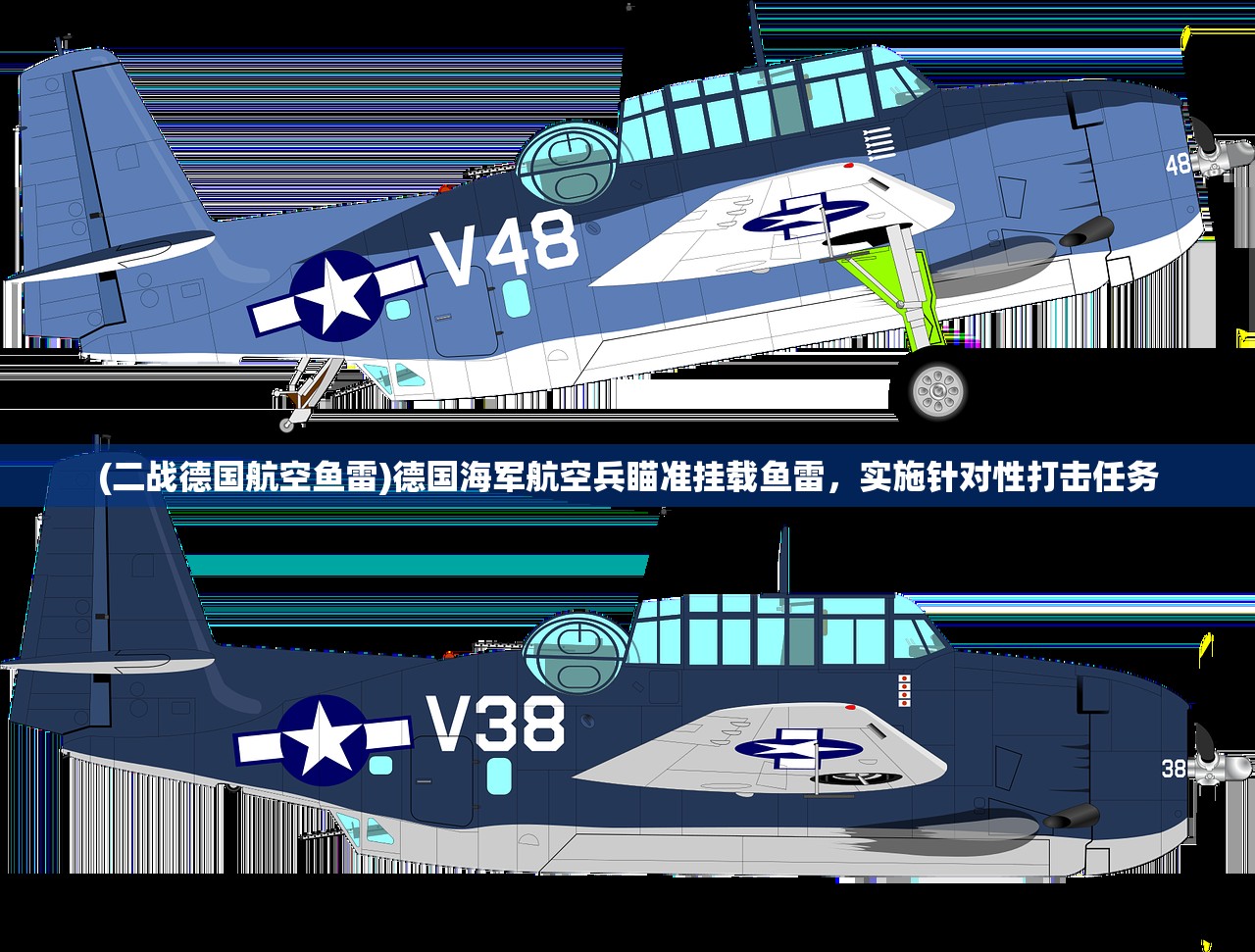 (二战德国航空鱼雷)德国海军航空兵瞄准挂载鱼雷，实施针对性打击任务