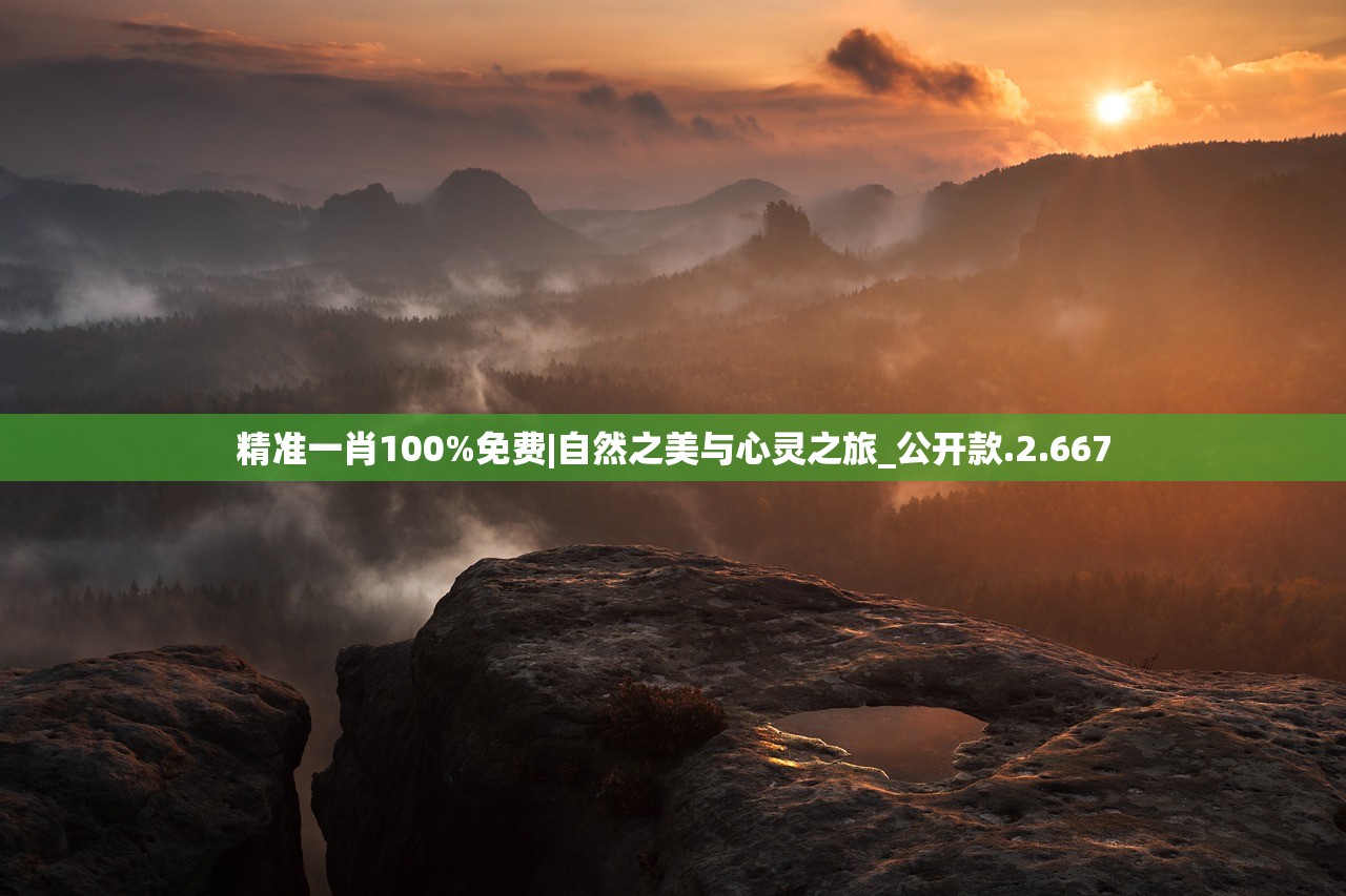 精准一肖100%免费|自然之美与心灵之旅_公开款.2.667