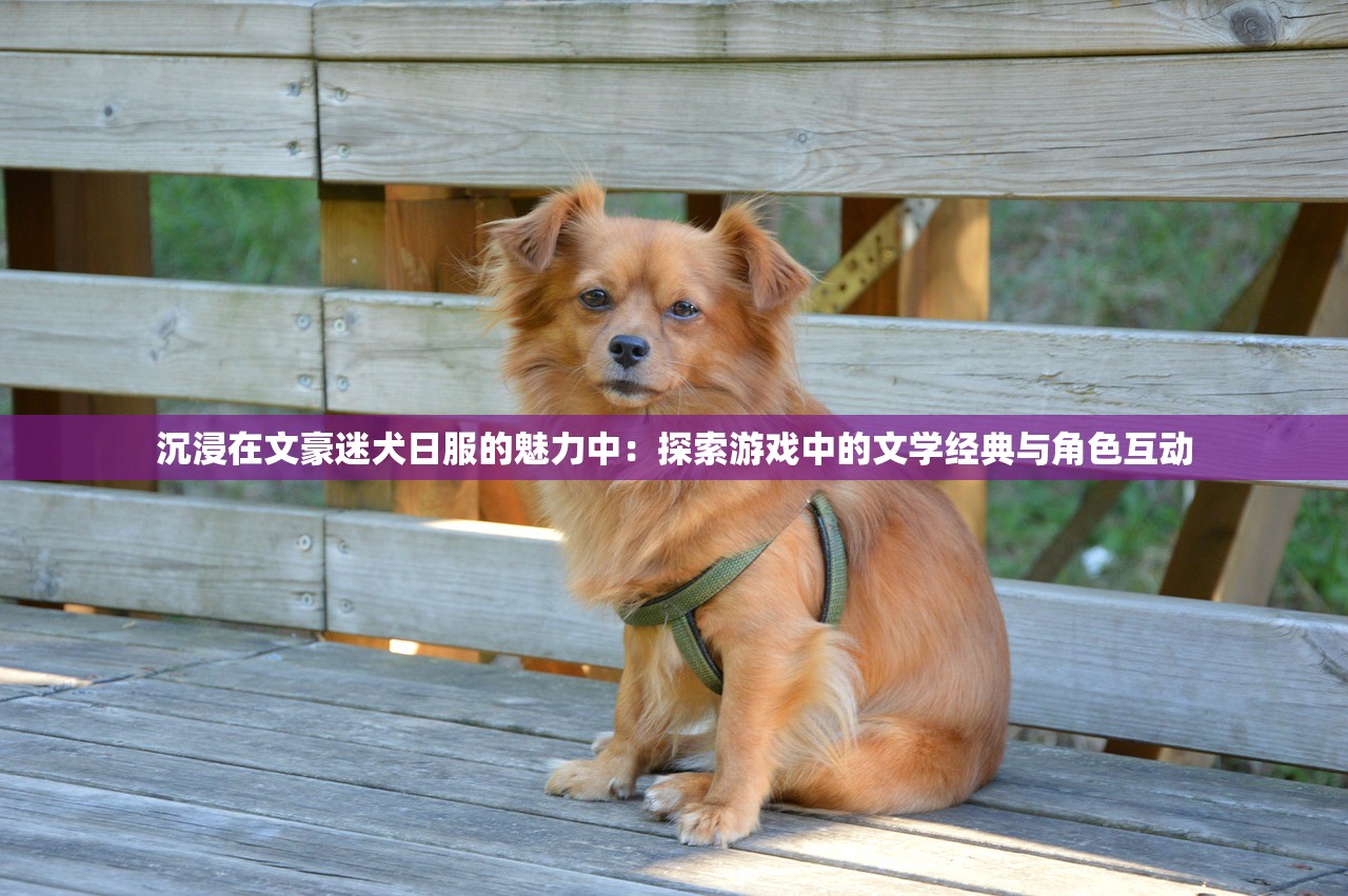 沉浸在文豪迷犬日服的魅力中：探索游戏中的文学经典与角色互动